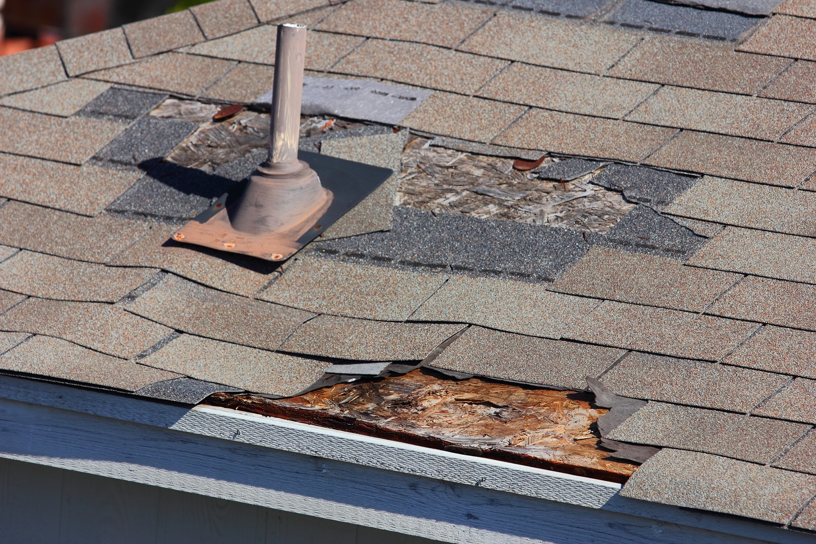 Roof Repair and Maintenance in Coquitlam