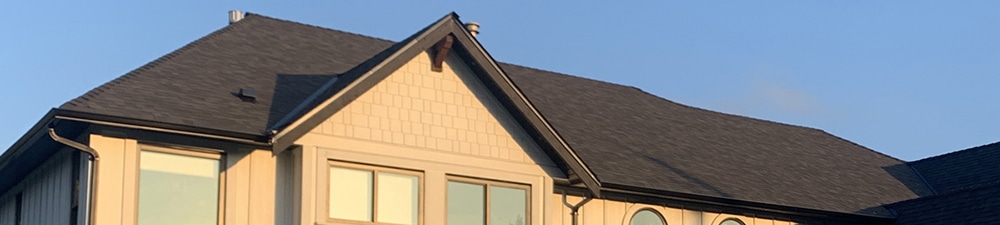 Roof Repair or Replacement. Which Option is Right for You?